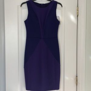 Stylish form-fitting Indigo dress